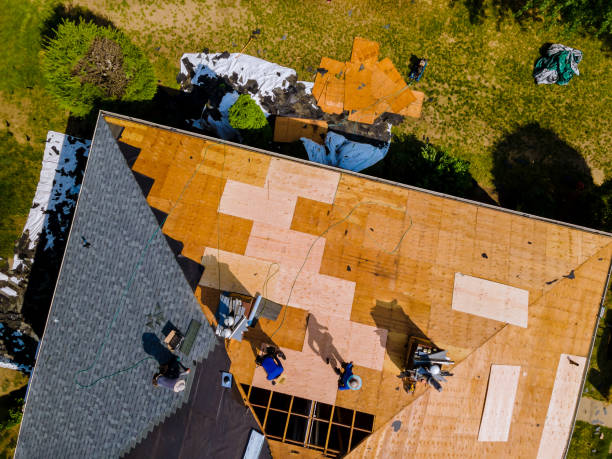 Best Local Roofing Companies  in Cedar Bluff, VA