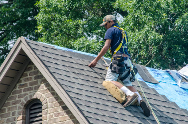Best Local Roofing Companies  in Cedar Bluff, VA