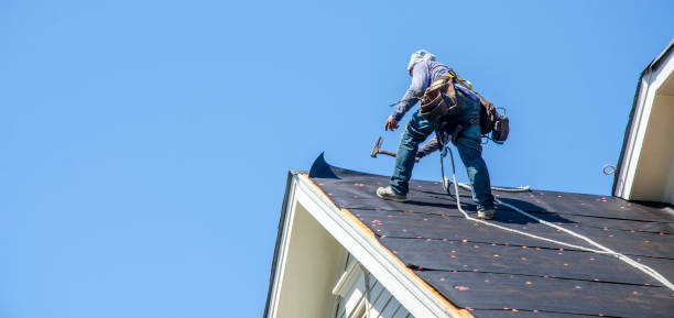 Best Roof Maintenance Services  in Cedar Bluff, VA